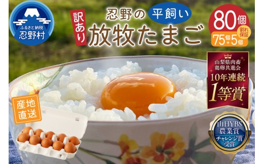【訳あり】忍野の平飼い放牧卵80個（75個＋割れ保証5個）[アニマルウェルフェア 卵 国産 産地直送 生卵 玉子 たまご 卵かけご飯 卵焼き 親子丼 目玉焼き すき焼き オムライス オムレツ スイーツ作り 料理 調理 人気 鶏卵 鶏 新鮮 山梨県 忍野村]