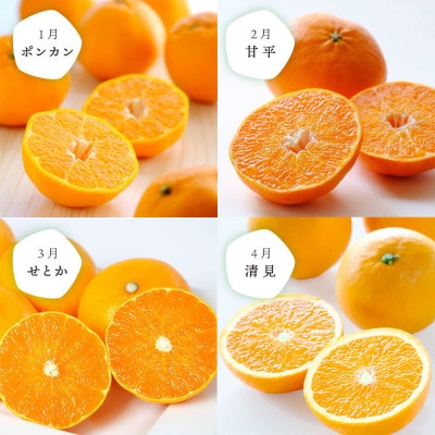 【発送月固定定期便】愛媛の人気品種を厳選!みかん定期便(秀品)【H25−166】全12回【配送不可地域：離島】【4054625】