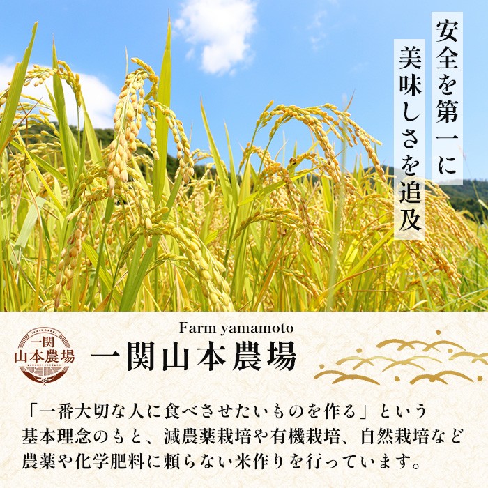 玄米