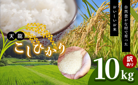 先行予約 訳あり 令和8年産 こしひかり 白米 10kg 令和8年10月下旬より順次発送予定 天龍村 農家さん応援米！