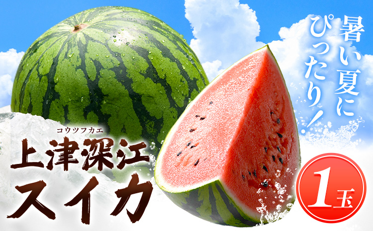 天草産上津深江 スイカ 1玉 髙橋商店 《6月末-8月中旬頃出荷》熊本県 苓北町 フルーツ 果物 くだもの スイカ すいか 西瓜 盆すいか 上津深江スイカ---J06R605-multi---
