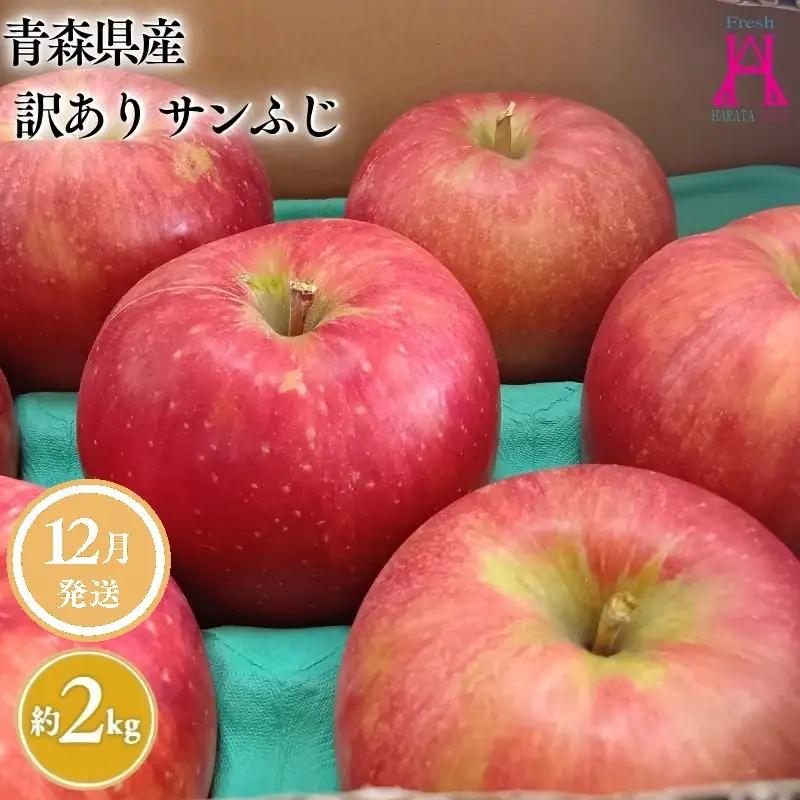 りんご サンふじ 家庭用 約2kg りんご