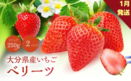 ベリーツ 250g前後 × 2パック ( 1月発送 ) | いちご ベリー フルーツ 果物 大分県 中津市