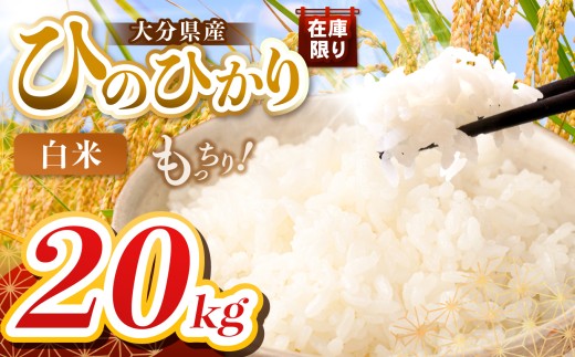 【令和7年産】大分県産 ヒノヒカリ 白米 20kg ( 5kg × 4袋 ) | お米 米 おこめ こめ 精米 ひのひかり 単一米 ご飯 九州産 国産 国産米 大分県米 九州米 大分県 中津市