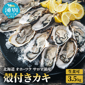 牡蠣 北海道サロマ湖産 殻付き 生食可 牡蠣【3.5kg】