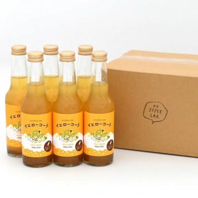 ふるさと納税 雲南市 原料にこだわった手作りイエローコーラ 250ml×6本セット |  | 03