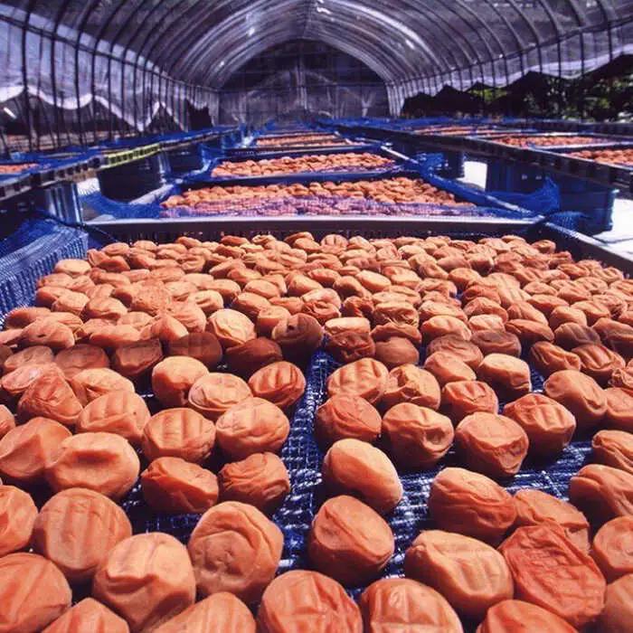梅干し 「豊の香梅」 1kg 梅干し[ARCF002]