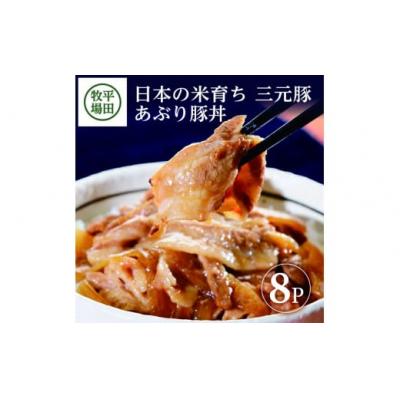 ふるさと納税 酒田市 【平田牧場】三元豚◆あぶり豚丼セット　130g×8パック