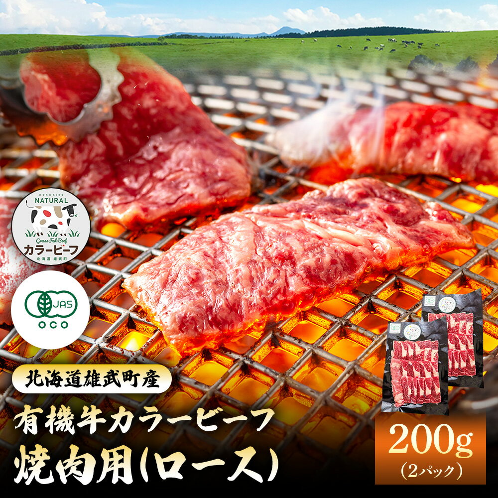 【ふるさと納税】雄武産有機牛カラービーフ 焼肉用（ロース）200gx2P | 牛肉 有機牛 オーガニック グラスフェッド カラービーフ 有機JAS 牧草 安心 安全 脂肪控えめ オホーツク 放牧牛 菊地牧場 お取り寄せ 北海道 雄武町 雄武【01128】