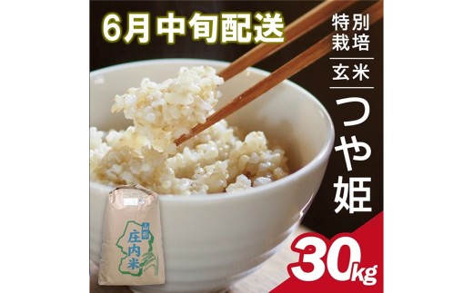 6月中旬配送／令和7年産【玄米】特別栽培米 つや姫　30kg×1袋〈太ももの会〉 FU SG0132