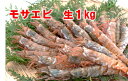 【ふるさと納税】1143 【魚倉】モサエビ 生1kg(中～大サイズ)　　　えび　期間限定　鳥取