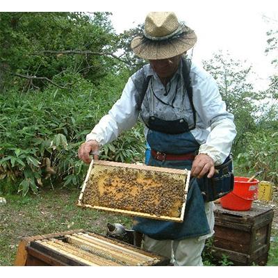 ふるさと納税 高野町 熊野古道　峠の蜂蜜2本セット(高野町) |  | 01
