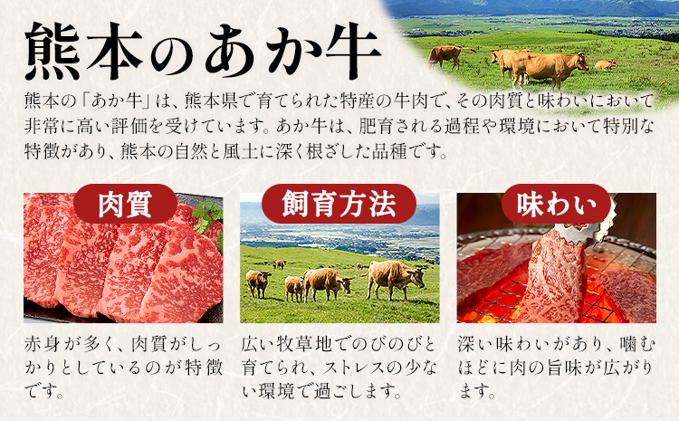 熊本県産あか牛使用 くまもとあか牛 ビーフカレー 4袋 1袋160g レトルト カレー パック 常備食 長期保存 送料無料《30日以内に出荷予定(土日祝除く)》---022-5003---