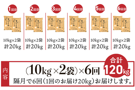 3人に1人がリピーター!☆2ヶ月ごとにお届け☆ 岩手ふるさと米 20kg(10kg×2)×6回 令和5年産 隔月定期便 一等米ひとめぼれ 東北有数のお米の産地 岩手県奥州市産 [U0182]