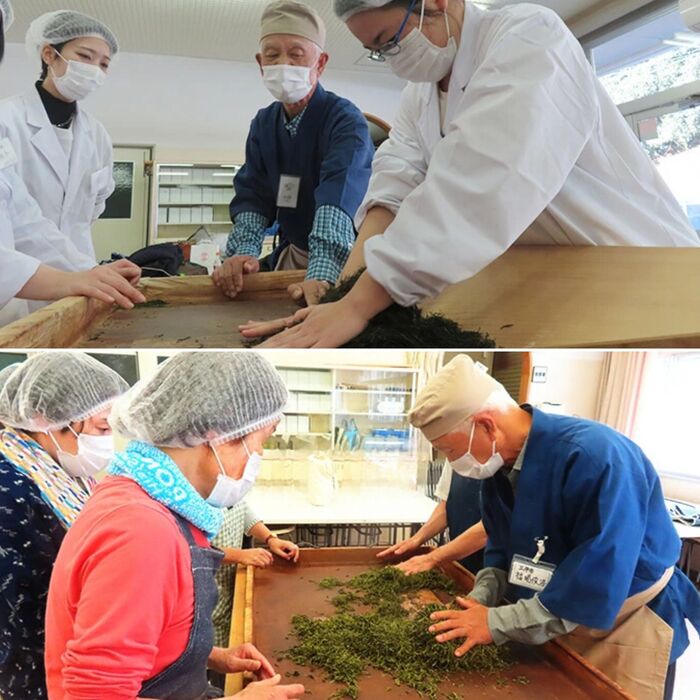 【先行受付】黒谷茶るま赤（鷹の爪25g1袋付き） だるま お茶 茶葉 057002
