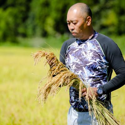ふるさと納税 十日町市 令和7年産!県認証特別栽培魚沼産コシヒカリ【農家直送!】 精米 20kg(10kg×2袋) |  | 02