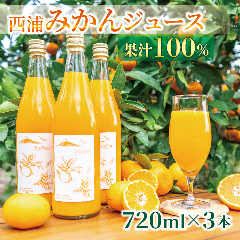 果汁100％  みかんジュース  720ml×3本 西浦