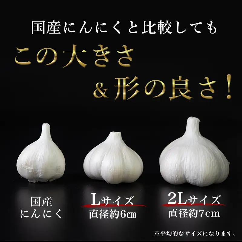 南部町営市場 直送 にんにく「ふくちホワイト六片種」（Lサイズ×10個）《カネテ青果》 F21U-127