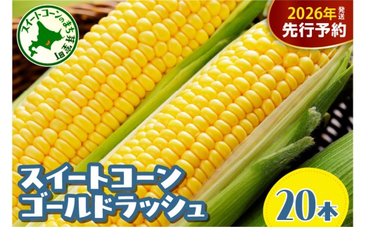 【先行予約】【2026年8月5日頃から発送】北海道十勝芽室町　十勝めむろ産 とうもろこし ゴールドラッシュ 20本 me089-002c／ 人気 朝採り 産地直送 送料無料