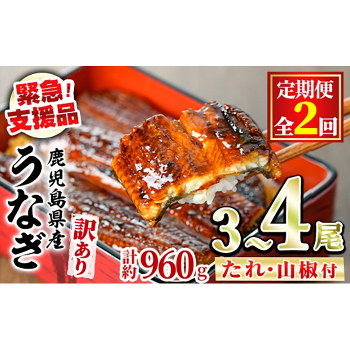 【0304301b】＜定期便・全2回＞【緊急支援品】＜訳あり＞鰻の蒲焼き(無頭)(3～4尾×2回・計約960g・タレ、山椒付) うなぎ ウナギ 鰻 国産 蒲焼 蒲焼き たれ 鹿児島 ふるさと 人気 支援 【アクアおおすみ】