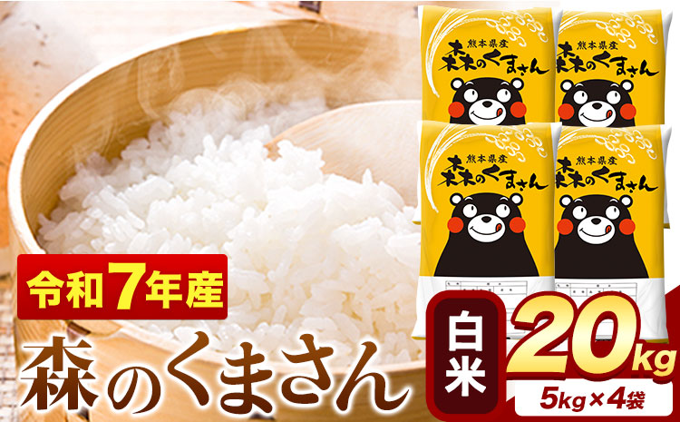 令和7年産 白米 森のくまさん 20kg 5kg × 4袋 熊本県産 単一原料米 森くま《1-5日以内に出荷予定(土日祝除く)》送料無料---mifune_lcl_1369_20kg---