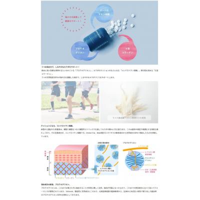 ふるさと納税 気仙沼市 Umino フカ・コンドロイチンプラス 250mg×約120錠 計30g 20563670 |  | 02