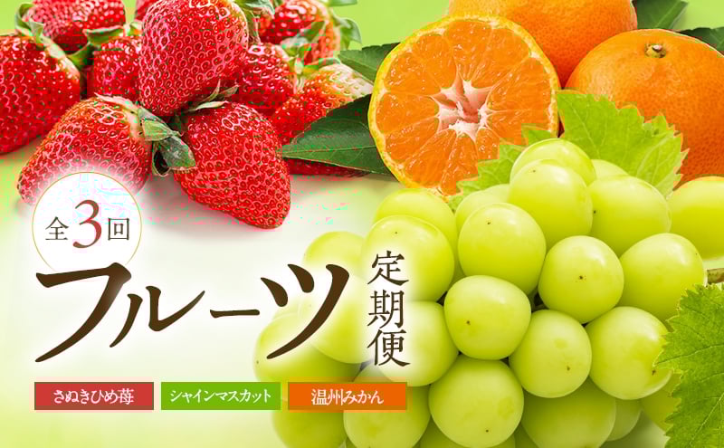 
            [№4631-2748]数量限定！讃岐のフルーツ定期便（全3回）【さぬきひめ苺】【温室シャインマスカット 】【温州みかん】
          