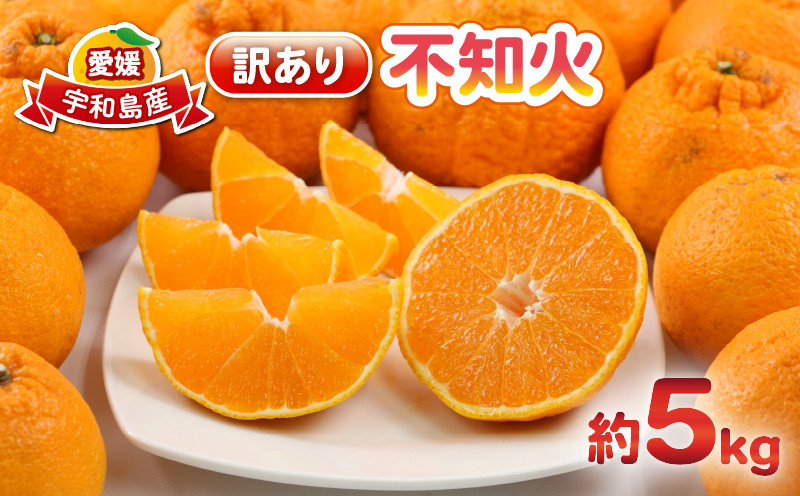
                  不知火 5kg 訳あり 杉本屋 ｜ 不知火 柑橘 取り寄せ 甘いみかん 春のみかん 愛媛県産 ミカン みかん mikan 蜜柑 フルーツ 果物 くだもの お取り寄せ 産地直送 数量限定 人気 おすすめ 送料無料 愛媛県 宇和島市 B010-143009
                