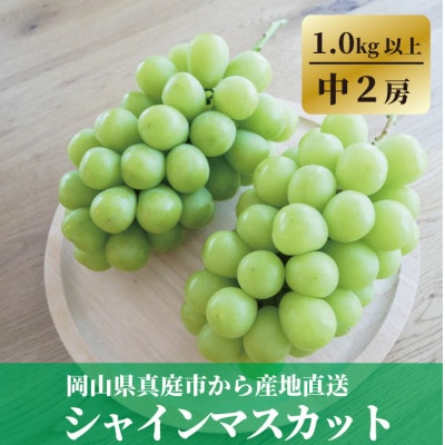 【食べ切りサイズ】 シャインマスカット 中2房/計1.0kg～ (岡山県産)【配送不可地域：離島・北海道・沖縄県】