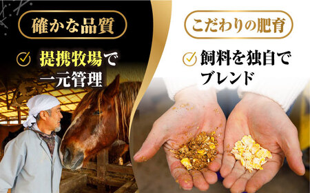 【6回定期便】大満足のボリューム「大満足セット 」【株式会社  利他フーズ】  国産 国産馬刺し 熊本 冷凍 馬刺し 冷凍馬刺し  馬刺し定期 馬刺し定期便 馬刺しセット熊本県産馬刺し 熊本馬刺し [