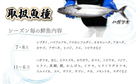 KU070【先行予約受付中】宮崎県串間産 朝獲れ鮮魚セット計約3~4kg(4~5種) 定置網による厳選「朝獲れ鮮魚」を漁師直送! 【合同会社Houryoumaru】