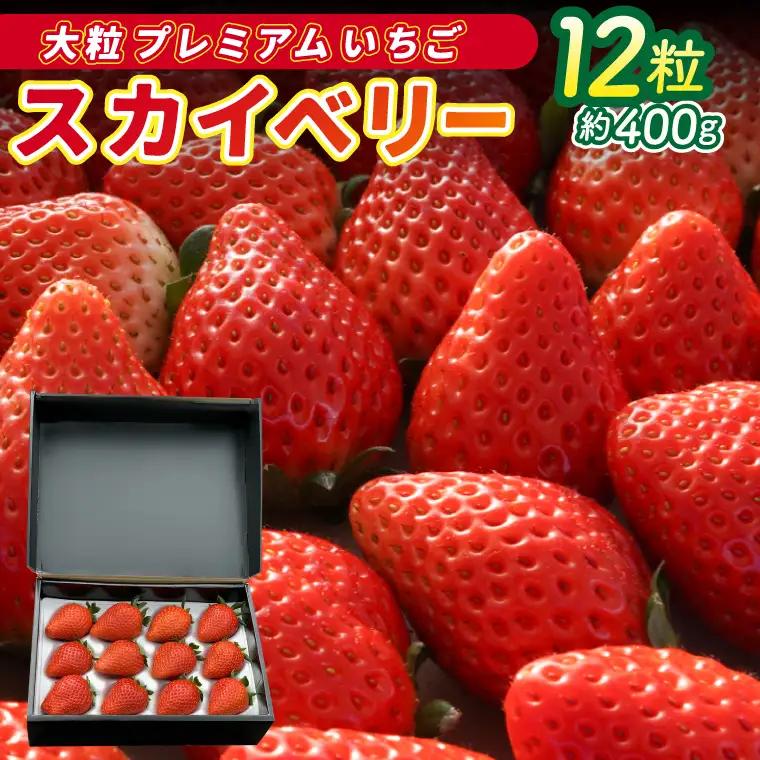 【数量限定】大粒プレミアムいちご スカイベリー 12粒 (約400g)  (DS004)