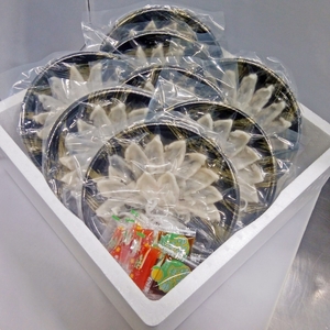 【3回定期便】本場九州の味　とらふぐ刺身8皿セット【001-0229】