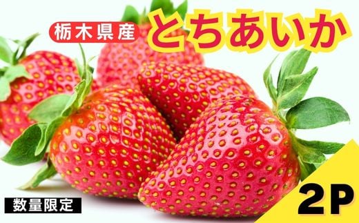 [3月以降発送] 栃木県産 いちご とちあいか 12～15粒 × 2パック｜いちご イチゴ 苺 フルーツ 果物 産地直送