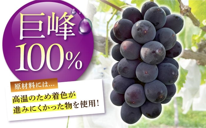 ブドウジュース ジュース ぶどう ブドウ 果実飲料 ストレート ストレートジュース 巨峰 果物 キャンプ アウトドア フローズン