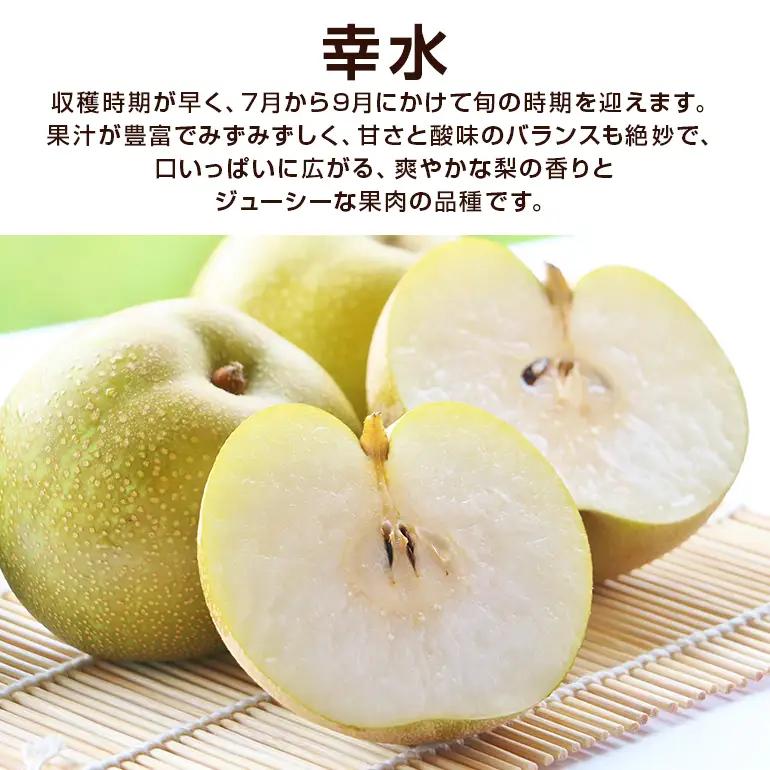 幸水 梨 3kg 柴沼梨園  BX-014