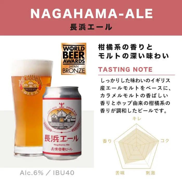 【全6回 定期便】クラフトビール 6本セット[AQBX070]クラフトビール