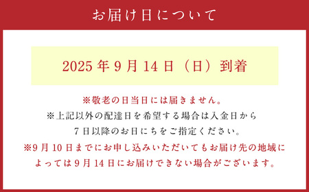 敬老の日 フラワーアレンジメント【2025年9月14日にお届け】｜ 花 お花 生花 フラワーアレンジメント フラワーギフト 飾り お祝い お礼 ギフト プレゼント 贈り物 贈答用 大阪府 阪南市