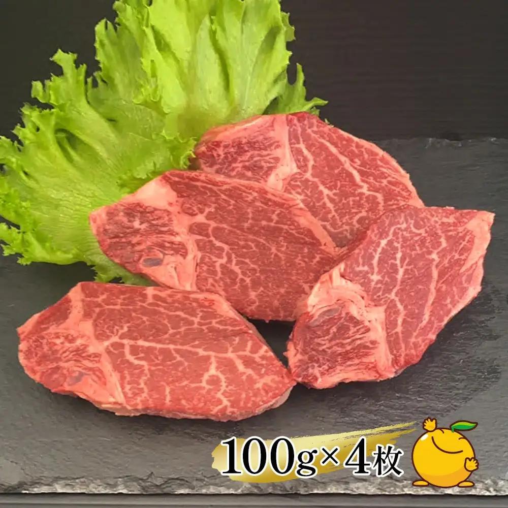 【6か月定期便】おおいた和牛 ヒレステーキ 約100g×4枚　(合計400g)　|　津久見市
