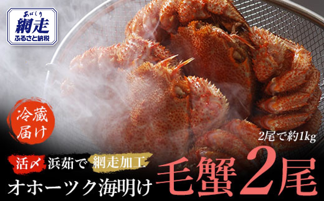 
                  【先行予約】オホーツク海明け活〆浜茹で毛蟹2尾冷蔵届け（オホーツク海産・網走加工）【2027年4月～順次発送開始予定】【 ふるさと納税 人気 おすすめ ランキング 毛がに 毛ガニ 毛蟹 カニ ガニ 蟹 海鮮 新鮮 かに味噌 カニ味噌 浜茹で 冷蔵 1kg オホーツク 北海道 網走市 送料無料 】 ABAO2180
                