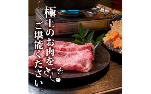 【2回定期】土佐黒毛和牛 食べ比べ 2000g 【計2kg以上】