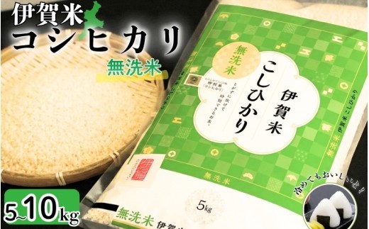 令和8年産 無洗米 伊賀米コシヒカリ 10kg（5kg×2）/ 伊賀米 コシヒカリ 無洗米 10kg コシヒカリ無洗米 伊賀米無洗米 米 お米 白米 精米 三重県 伊賀市 伊賀 三重 伊賀産米 伊賀市産米 三重県産米 国産米 国産 お米10kg 米10kg 5kg 2袋 こしひかり ブランド米 伊賀産コシヒカリ 無洗米 伊賀米 【jaig0005A】