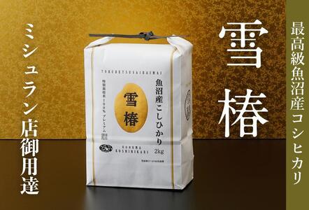 【2025年産新米】最高級魚沼産コシヒカリ「雪椿」2kg (2kg×1袋) 特別栽培米