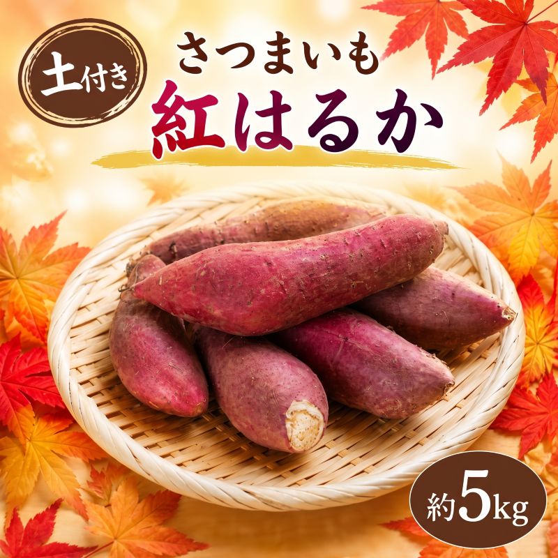 【ふるさと納税】 さつまいも 約5kg 紅はるか 土付き べにはるか サツマイモ さつま芋 甘藷 生芋 いも 芋 イモ 焼き芋 やきいも 野菜 おやつ 旬 産地直送 農家直送 茨城県 鉾田市 五右衛門