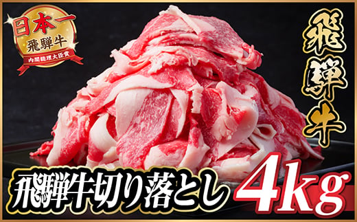 【訳あり】飛騨牛 切り落とし 約4kg【1531527】