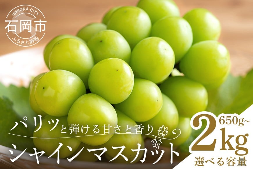 
            【 2026年 先行予約 】 シャインマスカット 650～750g 1.2kg 1.5kg 2kg 石田ぶどう園 1房 ～ 5房 種なし ぶどう ブドウ 国産 果物 くだもの 大粒 葡萄 種無し フルーツ 2キロ 9月 10月 発送 秋 旬 品種 茨城県産 産地直送 産直 農家直送 冷蔵 茨城県 石岡市 (A02-muscat_ishida)
          