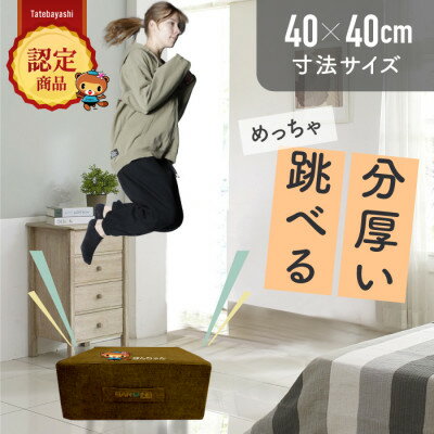 【ふるさと納税】ぽんちゃん トランポリンクッション (ココアブラウン) 40cm×40cm 高反発 室内用【1568232】