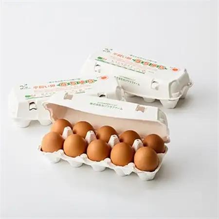 平飼い卵なちゅら(60ヶ入り)_卵 たまご 玉子 タマゴ 鶏卵 まとめ買い オムレツ 卵かけご飯 朝食 料理 人気 美味しい_【配送不可地域：離島】【1585337】
