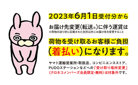 朝日町ワイン 白・オレンジ ワイン アソート 6本セット