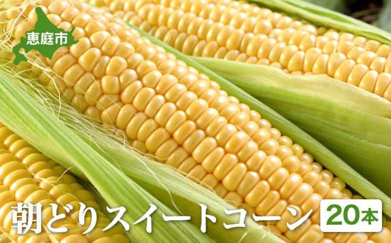 【北海道恵庭市産】朝どりスイートコーン×20本 北海道産 とうもろこし ふるさと納税 北海道 恵庭市【31000103】 ２０本
